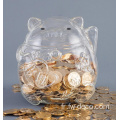 Boîte de banque de piggy animale de chat transparente personnalisée